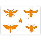 Insects Stencil in 3 sizes