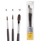 Winsor & Newton Galeria Acrylic paint brushes set of 3