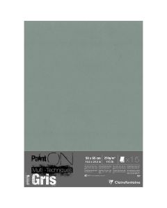 Clairefontaine Paint'ON Gray 50x65cm Sheets